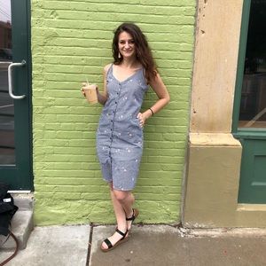 Everly Gingham Floral Embroidered Dress